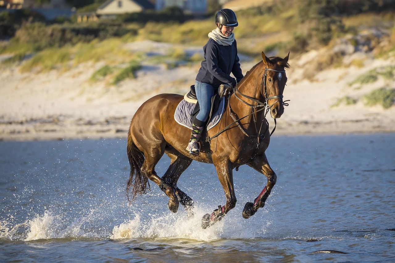 Ultimate Guide to Women’s Waterproof Riding Jackets